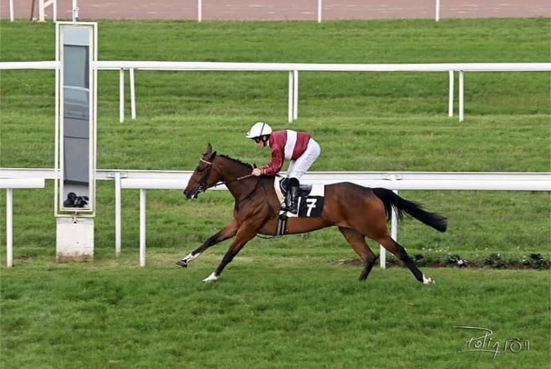 Hippodrome de Deauville événement d’entreprise