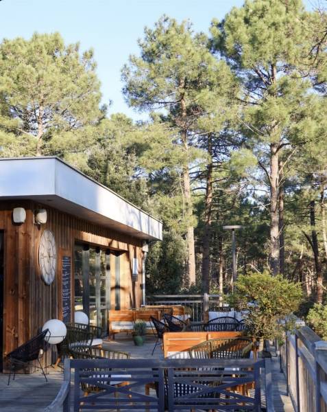 Domaine du Ferret parmi la pinède