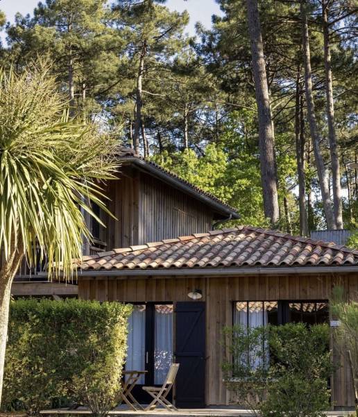 Lodges boisés parmi la pinède