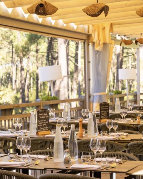 Salle de restaurant face à la pinède