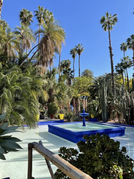 Séminaire à Marrakech, halte au Jardin Majorelle