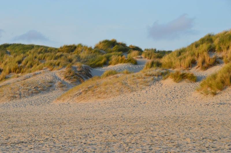 Le Touquet-Paris-Plage pour un séminaire dans les dunes à 2h de Paris
