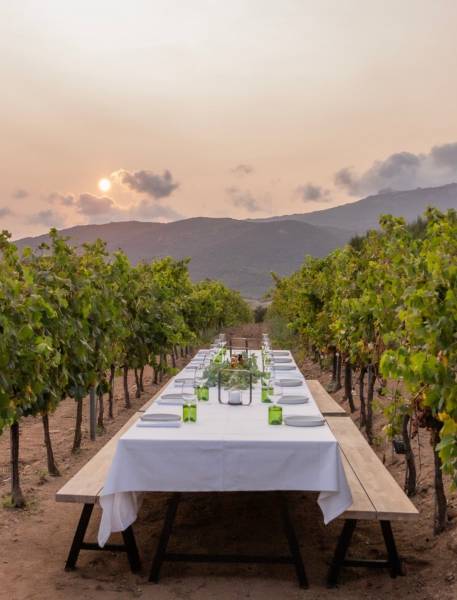 Welcome Dîner mariage en Corse du Sud orchestré par une Wedding Planner